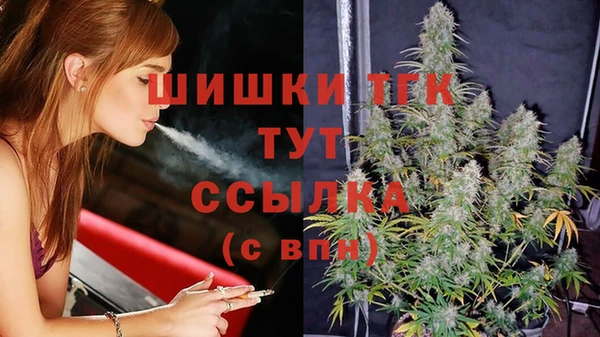 PSILOCYBIN Богородицк