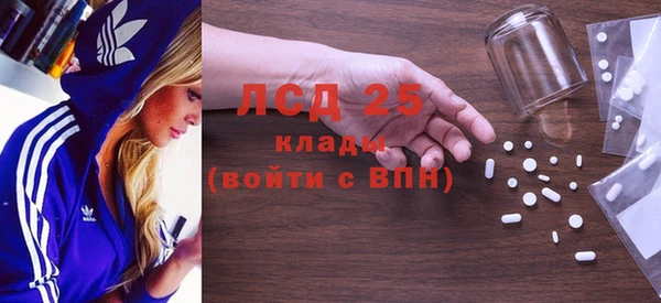 PSILOCYBIN Богородицк