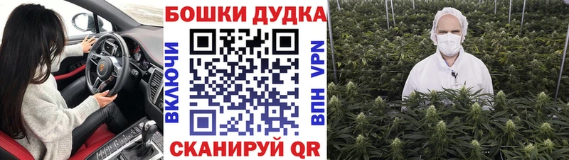 Канабис AK-47  купить закладку  Белоозёрский 